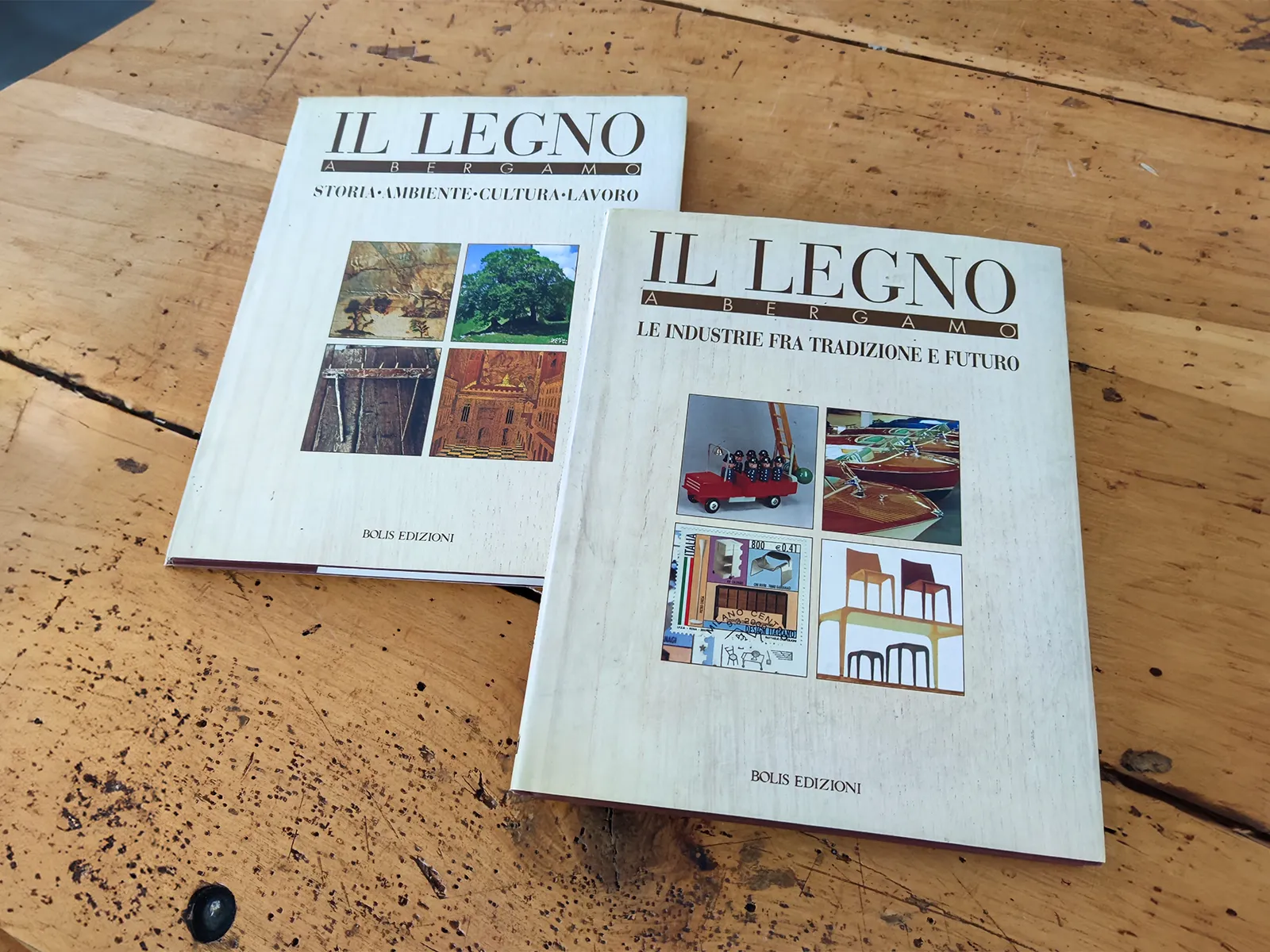 Libro “Il legno a Bergamo - Le industrie tra tradizione e futuro” ed. Bolis Libro “Il legno a Bergamo - Le industrie tra tradizione e futuro” ed. Bolis