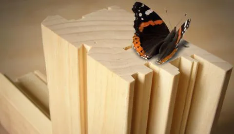 Alla scoperta del legno Accoya®